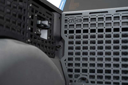 Photo - Close Up