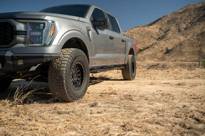 DV8 15-24 Ford F-150 Crew Cab - OE Plus Trittbretter