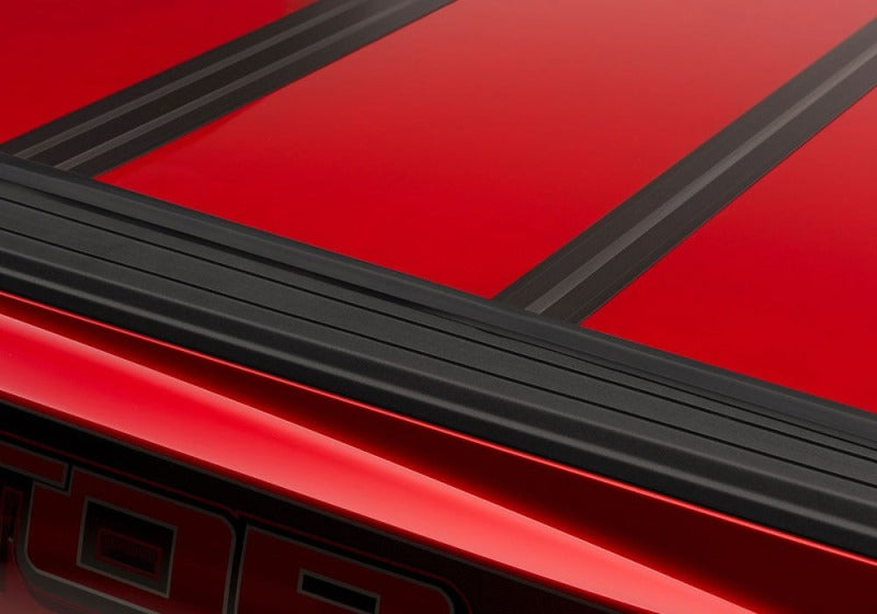 Photo - Close Up